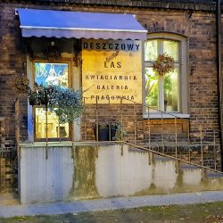Deszczowy Las | Dekoracja ślubów | Warsztaty Florystyczne | Pracownia Florystyczna (Ruda Śląska )