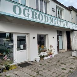 Dilana Kwiaciarnia Ogrodnictwo Kwiaty Cięte I Doniczkowe Bukiety Ślubne (Bydgoszcz )