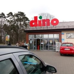 Dino (Daszyna )