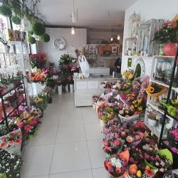 Domańscy I.p Kwiaciarnia I Ogrodnictwo (Gdańsk )