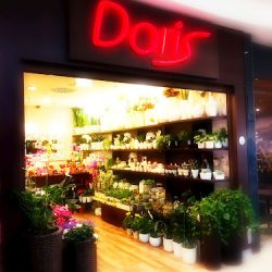 Doris (Gdańsk )