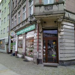 Dorożyński Kazimierz. Kwiaciarnia (Chojnów )