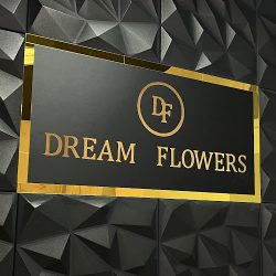 Dream Flowers (Płock )