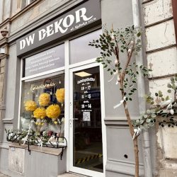 Dw Dekor (Pleszew )