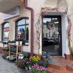 Dzika Jeżyna (Rawa Mazowiecka )