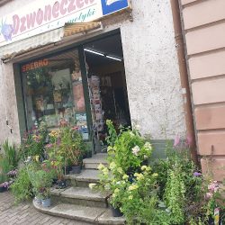 Dzwoneczek. Magdziarz R. (Głuszyca )