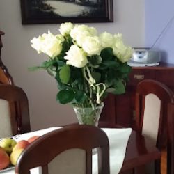 E-kwiaty (Lublin )