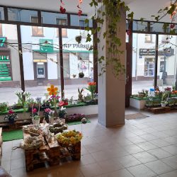 Ekotechnoart (Żagań )