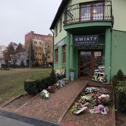 Ekspresja Agnieszka Zajączkowska (Lubin )
