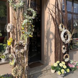 El Decor (Białystok )