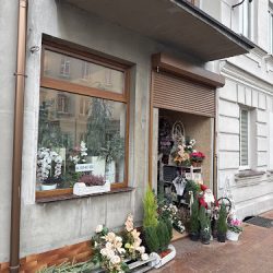 Elżbieta Kapłonek Kwiaciarstwo Sklep Wielobranżowy (Koźminek en Merlo San Luis)