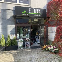 Euforia (Kielce )