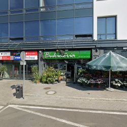 Euroflorist Gorzów - Kwiaciarnia Internetowa (Gorzów Wielkopolski )
