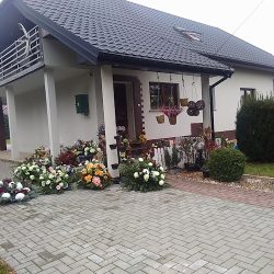 Fantazja. Kwiaciarnia. Bandych M. (Bulkowo-Kolonia )
