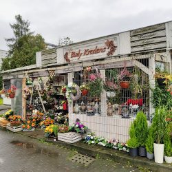 Fhu Silezaur Jerzy Rulka Kwiaciarnia Biały Kredens (Katowice )