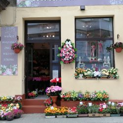Fifi (Wałbrzych )