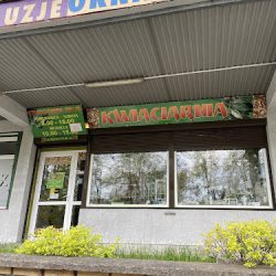 Fikus. Kwiaciarnia (Białystok )