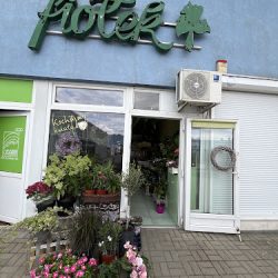 Fiołek Kwiaciarnia (Poznań )
