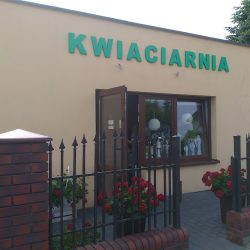 Fiołki I Róże (Radziejów )