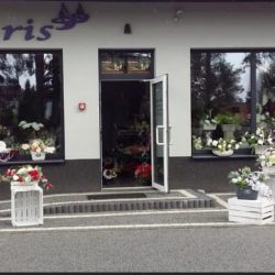 Flaris (Kozienice )