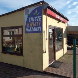 Floks Kazimiera Wyszyńska Kwiaty, Znicze (Witkowo en Merlo San Luis)