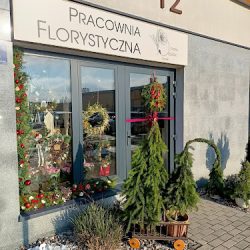 Flora Design Store (Płock )