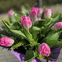Floradeco Kwiaciarnia (Rzeszów )