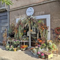 Floral Design Gdynia Kwiaciarnio - Kawiarnia (Gdynia )