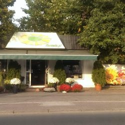 Florawin (Poznań )
