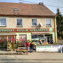 Florens - Ogrodnictwo Banasiewicz Producent Roślin Ozdobnych (Krapkowice en Merlo San Luis)