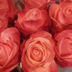 Flores (Głuchołazy en Merlo San Luis)