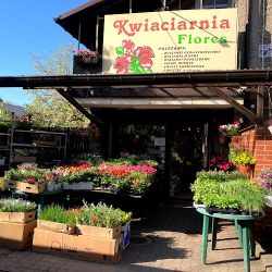Flores S.c. Dudek E.p. (Katowice )