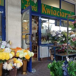 Floris (Kraków )