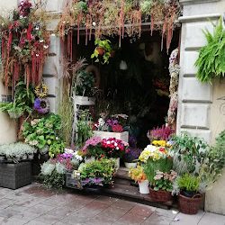 Floristica (Kraków )