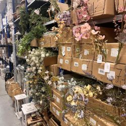 Florystyczny Raj (Elizówka en Merlo San Luis)