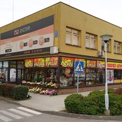 Florystyka - Kwiaciarnia 