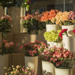 Florystyka ślubna - Projekt Kwiaty Polskie Agnieszka Bazyluk (Dęblin )