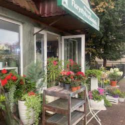 Florystyka U Dominika (Strzelce Krajeńskie )