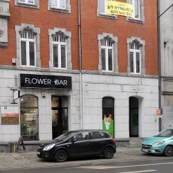 Flower Bar (Katowice )