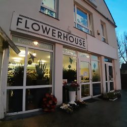 Flower House (Jelenia Góra )