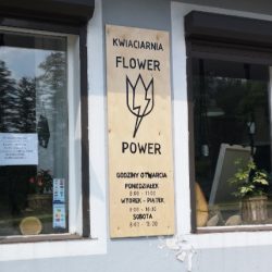 Flower Power Agnieszka Szkodziak (Czerwionka-Leszczyny )