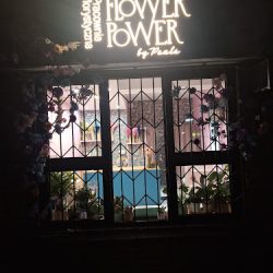 Flower Power By Paula (Łęczna )