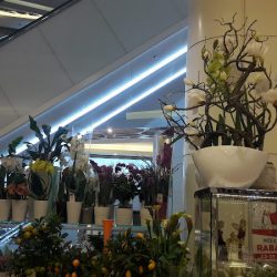 Flower Shop (Rzeszów )