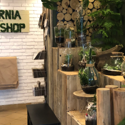 Flower Shop Justyna Smela (Radzionków )