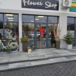 Flower Shop (Sulejów )