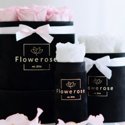 Flowerose (Zielona Góra )