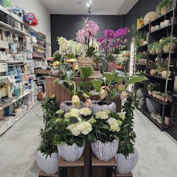 Flowers&balloons (Brwinów )