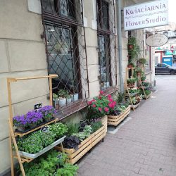 Flowerstudio (Poznań )