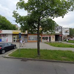 Frezja (Płock )