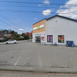 Frezja. Kwiaciarnia. Kaczmarska U. (Olesno )